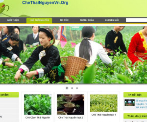 themes green tea website chè thái nguyên 2