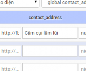 Global contact address 2