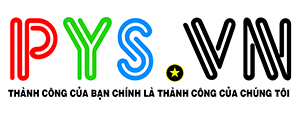 Logo PYS